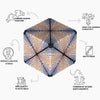 Duomoto Parched puzzle cube from Fun In Motion Toys | Conscious Craft